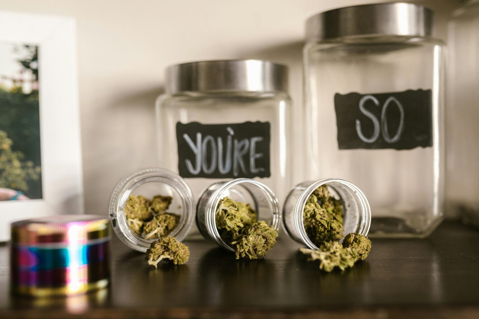 Glass jars filled with cannabis buds on a wooden shelf, emphasizing legal marijuana culture.
