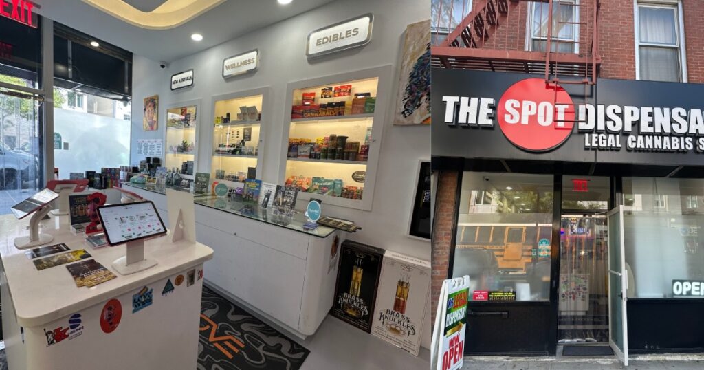 Product display wall inside a licensed NYC dispensary showing organized shelves and modern design