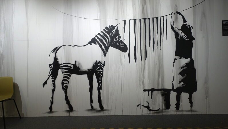 Banksy zebra mural with painted stripes being hung to dry on a wall