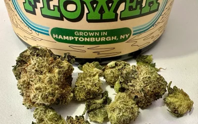 Best Half Ounce Of The Month