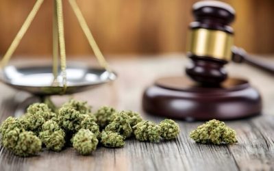 History & Legalization Timeline