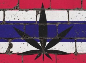 GOP Support for Federal Cannabis Legalization Slips — Why It Matters Now More Than Ever